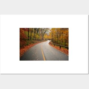 Forest Foliage in Autumn Posters and Art